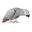 Bestbirdfoodever.com Icon