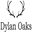Dylanoaks.com Icon