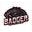 Badgercollectibles.com Icon