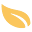 Teaniru.com Icon