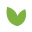 Bixabotanical.com Icon