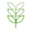 Theibdshop.com Icon