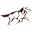 Riconti Caffe Icon