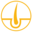 LearnSkin Icon