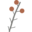 Wild Learning Icon