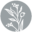 Tidbits Icon