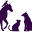 Piccardpets.com Icon