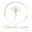 Balionthecove.com Icon