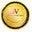 Dreamvoltage.com Icon