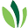 Vivolor Therapeutics Icon