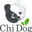 Chi Dog Icon