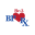BP-RX Icon