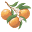 Orange Blossoms Icon