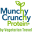 Munchy Crunchy Protein Snack Icon