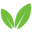 Codetree Icon