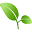 Moore and Moore Garden Center Icon