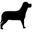 Black Lab Imaging Icon