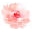 The Dotted Line Icon