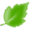 Fontaine Landscaping Icon