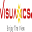 Visuanics Icon