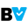 BestValued Icon