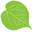 Natureul.com Icon