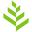 Vertplanter.com Icon