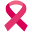 Breastcancerireland Icon