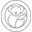 USA Koala Eco Icon