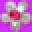 Confetti and Friends Icon