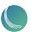 Stream Fiber Icon