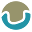 Wrong Iron Icon