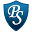 Pogo Security Icon