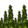 Cheapestcbdoils.com Icon
