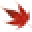 Mendocino Maples Nursery Icon