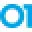Veracode Icon