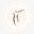 Natura Spa Icon