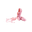 Ballet Boutique Icon