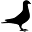Le Pigeon Icon