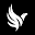 Measure Icon