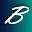 Bradham Automotive Icon