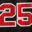 NBA Car Stereos Icon