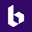 BORA Chain Icon