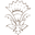 Cleobella Icon