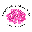 Petal Pushers Floral Studio Icon