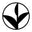 MEM Tea Icon