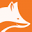 Washfox Car Wash Icon