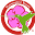 Hummingbird Beauty Icon