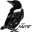 The Magpie Icon