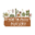 North Park Nursery Icon